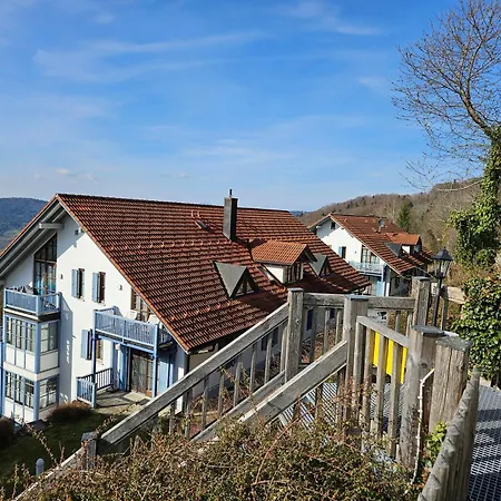 Apartment Ferienland Sonnenwald 44 