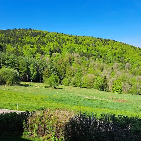 Ferienland Sonnenwald 44 